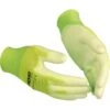 Tuinhandschoenen GREEN - Maat 10 - 1 Paar -Tuinartikelen Winkel 1563345207 1 600
