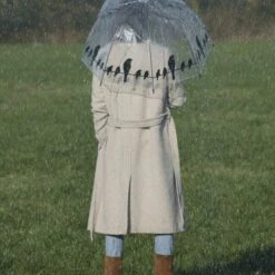 ESSCHERT DESIGN Paraplu Transparant Vogels Op Draad -Tuinartikelen Winkel 1583744711 4 600