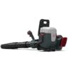Bladblazer 82 V Duo-ACCU CRAMER 82B1300 - Ruggedragen -Tuinartikelen Winkel bladblazer accu 82v 82b1300 ruggedragen 1601992289 1 600