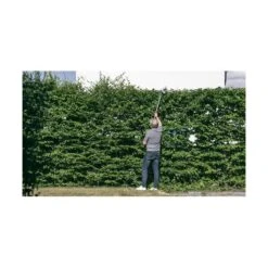 Tuinartikelen Winkel -Tuinartikelen Winkel heggenschaar op steel zonder accu en lader 1601021848 65 600