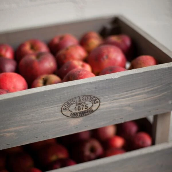 Opslag krat stapelbaar M - set van 1 stuks ESSCHERT DESIGN Opslag Krat Stapelbaar M - Set Van 1 Stuks -Tuinartikelen Winkel opslag krat stapelbaar m 1 stuk 1610981470 2 600